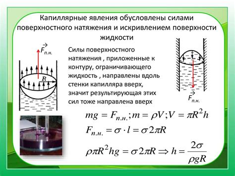 Капиллярные силы и их роль