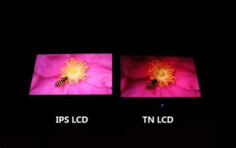 Качество изображения на TFT LCD и TFT IPS