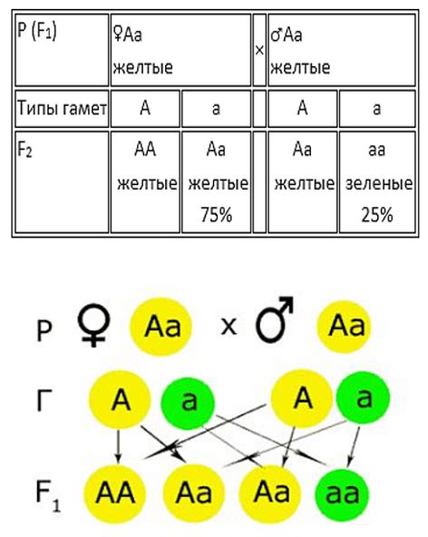 Клиническое тестирование для определения генотипа