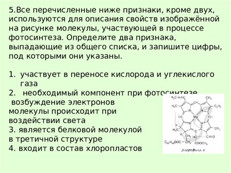 Ключевой компонент фотосинтеза