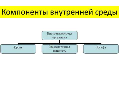 Ключевые компоненты внутренней среды