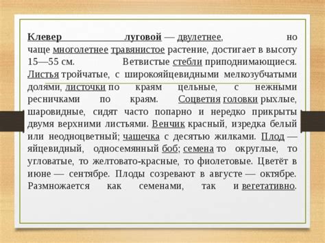 Ключевые критерии при определении грейда