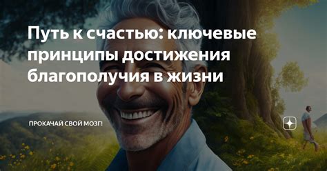 Ключевые принципы самостоятельности