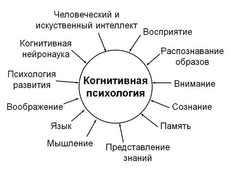 Когнитивная сфера: сущность и состав