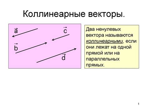 Коллинеарные векторы и их сущность