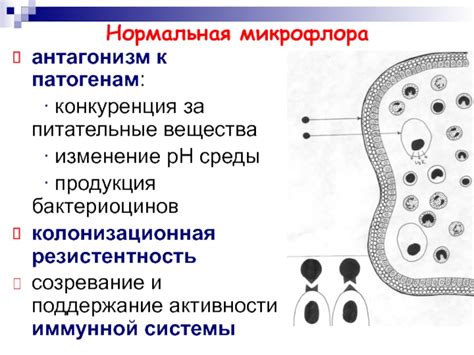 Конкуренция за питательные вещества