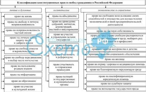 Конституционные права и свободы: