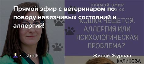 Консультация с ветеринаром по слуху питомца