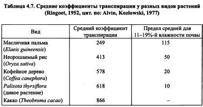 Краткое описание Сейшел и их курс на экологическую устойчивость