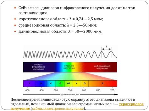 Крысы и инфракрасное излучение