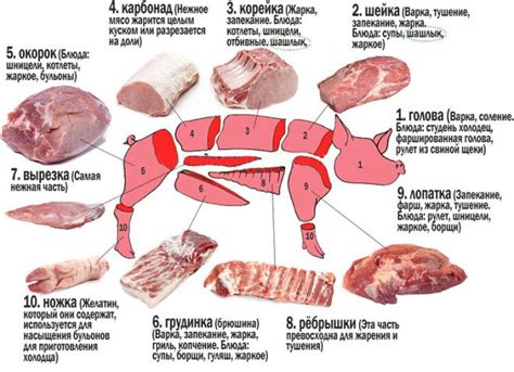 Кулинарное использование и лечебные свойства