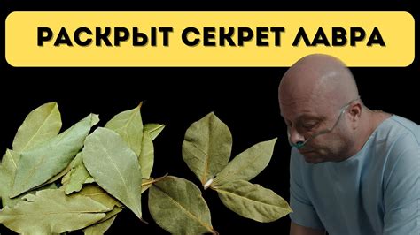 Лавровый лист: секрет