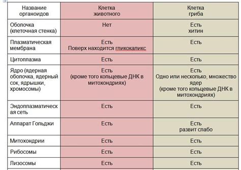 Левотироксин и Эутирокс: общие черты и различия