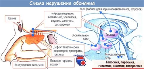 Легкая форма: нарушения обоняния и повышение температуры