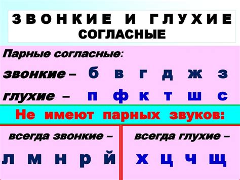 Лингвистические особенности мягких конечных согласных