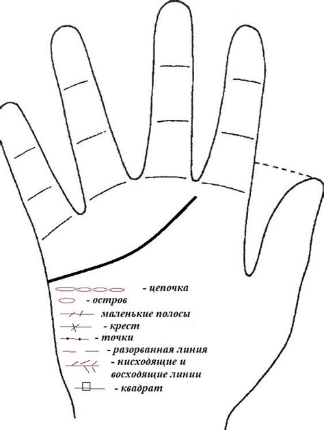 Линия сердца: ключ к чувственности