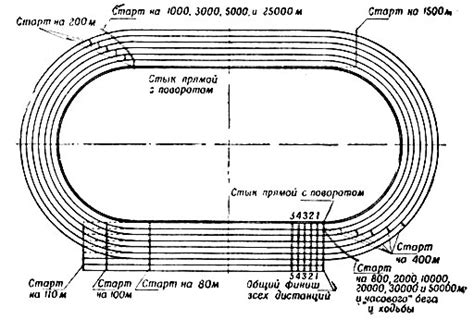 Маркировка беговой дорожки