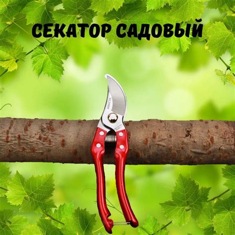 Материал лезвий секатора