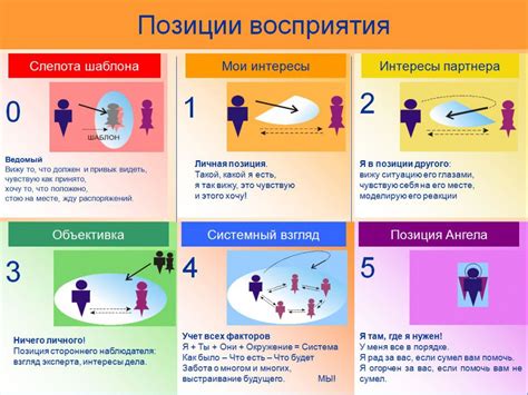 Медведь в сновидении: интерпретация с точки зрения психологии