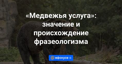 Медвежья услуга: значение в переносном смысле и основные аспекты