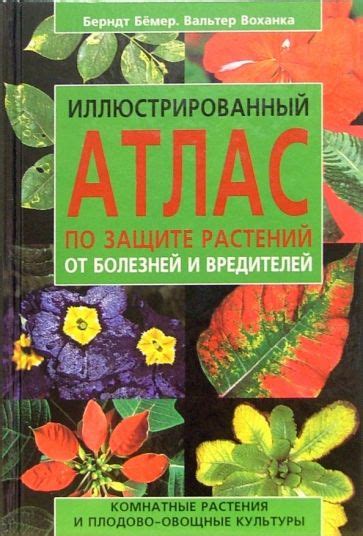 Меры по защите от вредителей и болезней растений