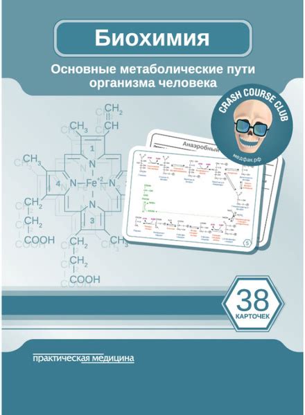 Метаболические особенности организма