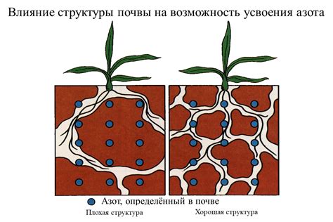 Методы восстановления структуры почвы