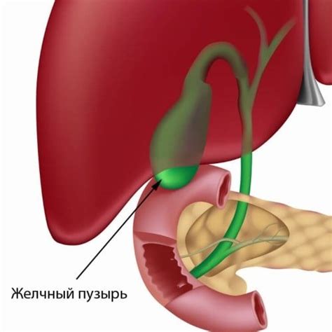 Методы диагностики заболеваний желчного пузыря