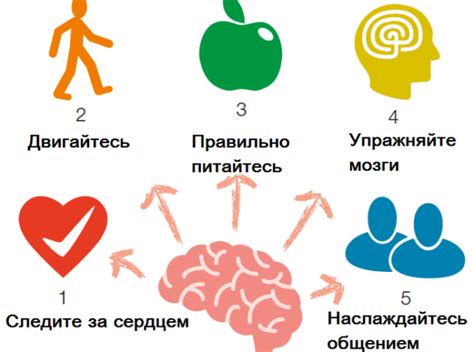 Методы лечения деменции: важная информация