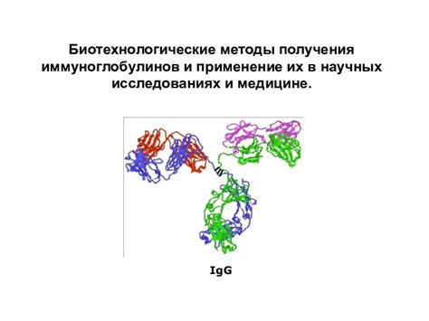 Методы получения иммуноглобулинов