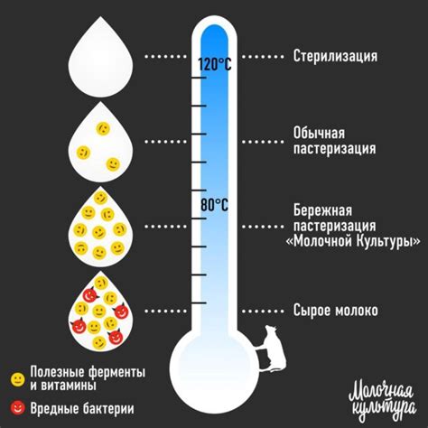 Методы предотвращения свертывания при пастеризации