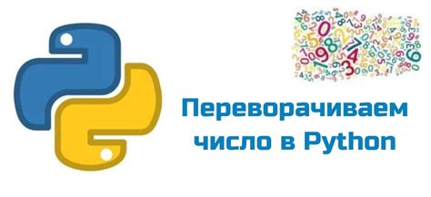 Методы проверки числа в Python