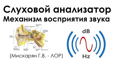 Методы улучшения восприятия звука по телефону