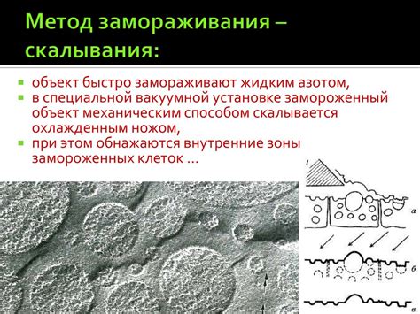 Метод "замораживания" клея