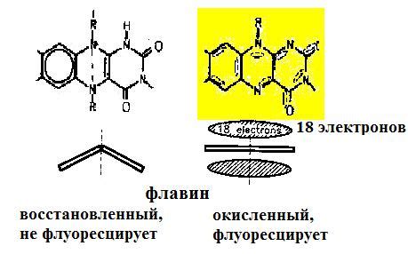 Метод флуориметрии: основные принципы