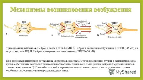 Механизмы возникновения