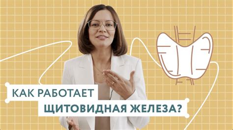 Механизмы и функции обувницы: