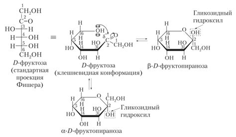 Механизмы образования фруктозы