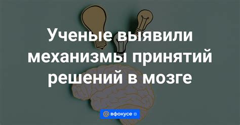 Механизмы принятия решений и мышления в мозге