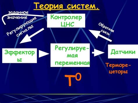 Механизмы регуляции температуры при плавании