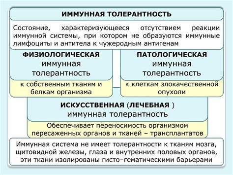 Механизмы формирования снов