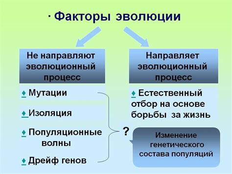 Механизмы эволюции: что это?