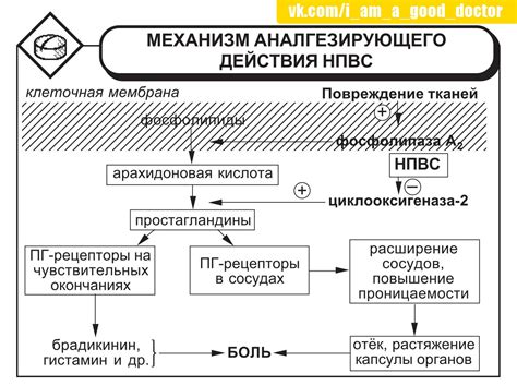 Механизм действия