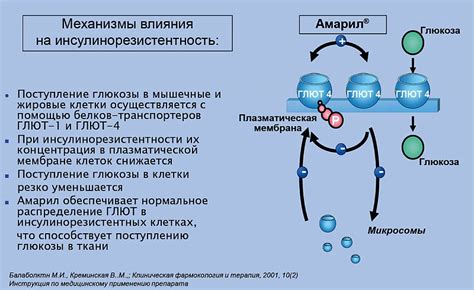 Механизм действия и смывка