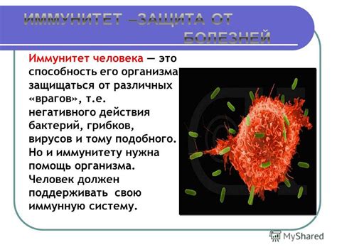 Механизм действия на иммунную систему