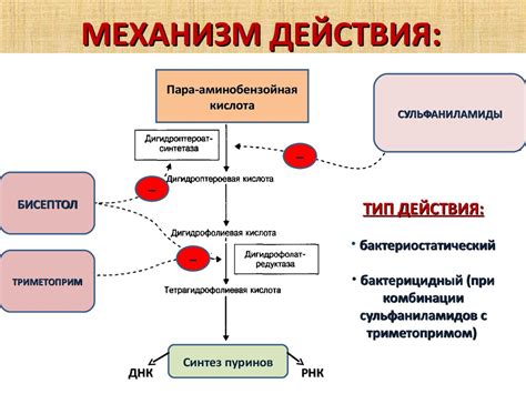 Механизм действия фруктов