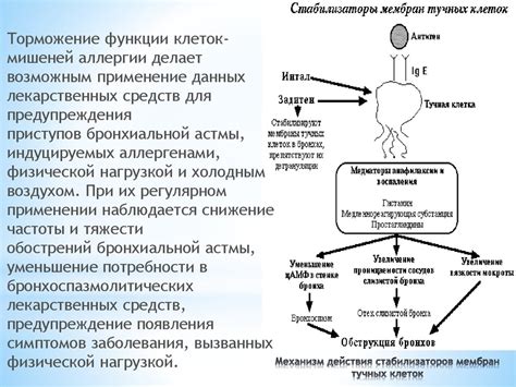 Механизм компенсации клеток