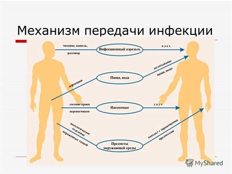 Механизм передачи инфекции