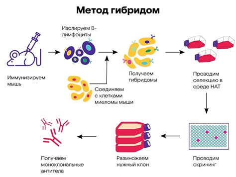 Механизм работы спреда