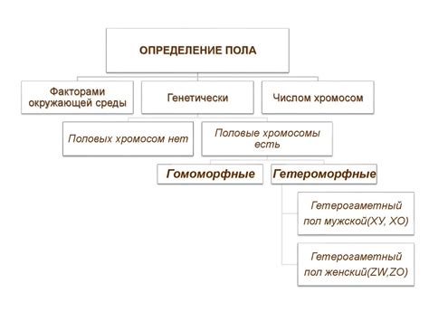 Механизм развития и наследование